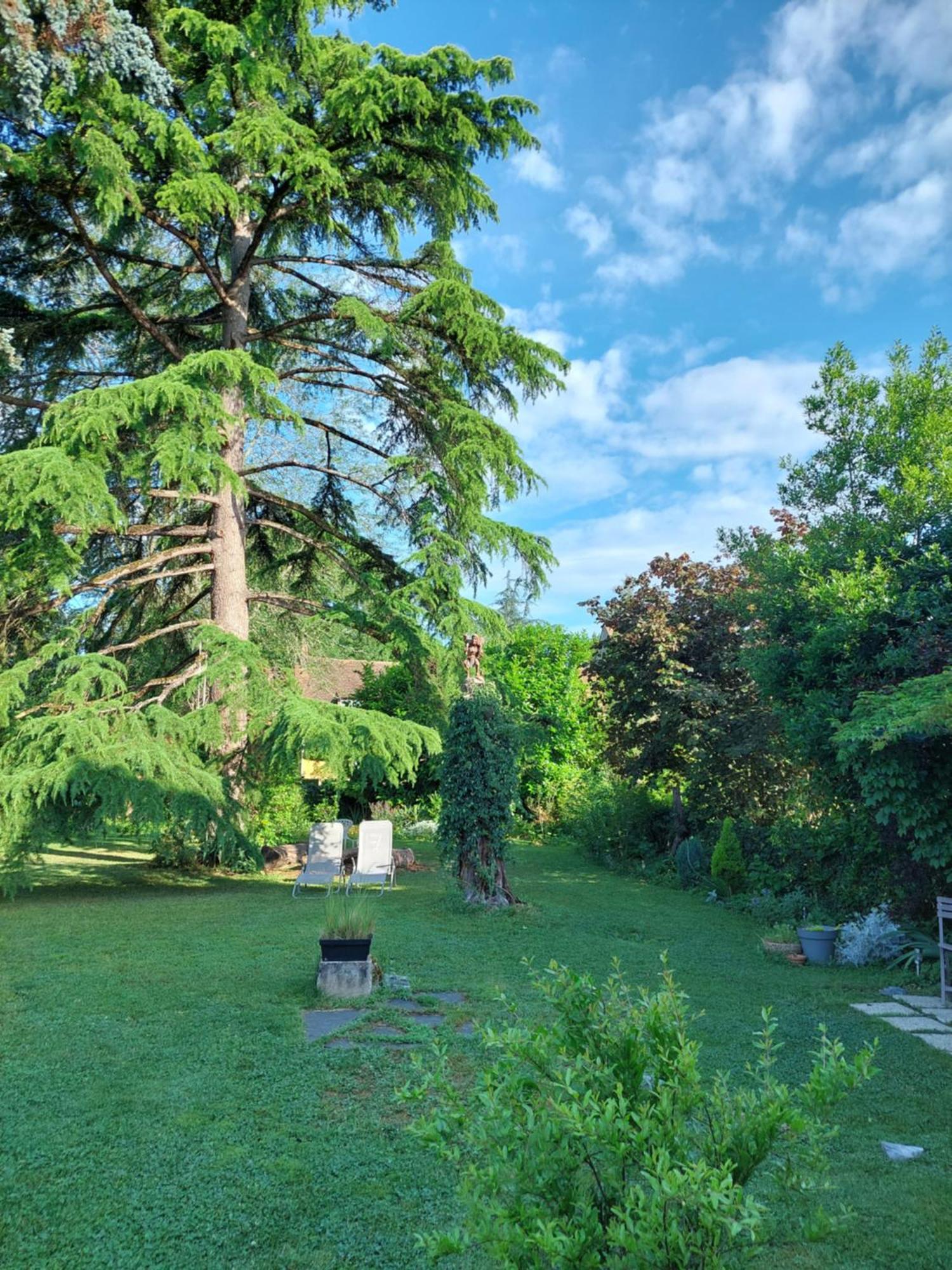 Rue Du Chateau Lalinde Exteriér fotografie
